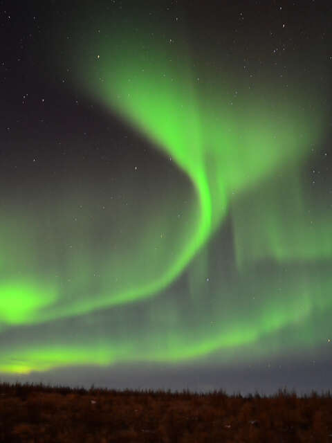 Northern Lights