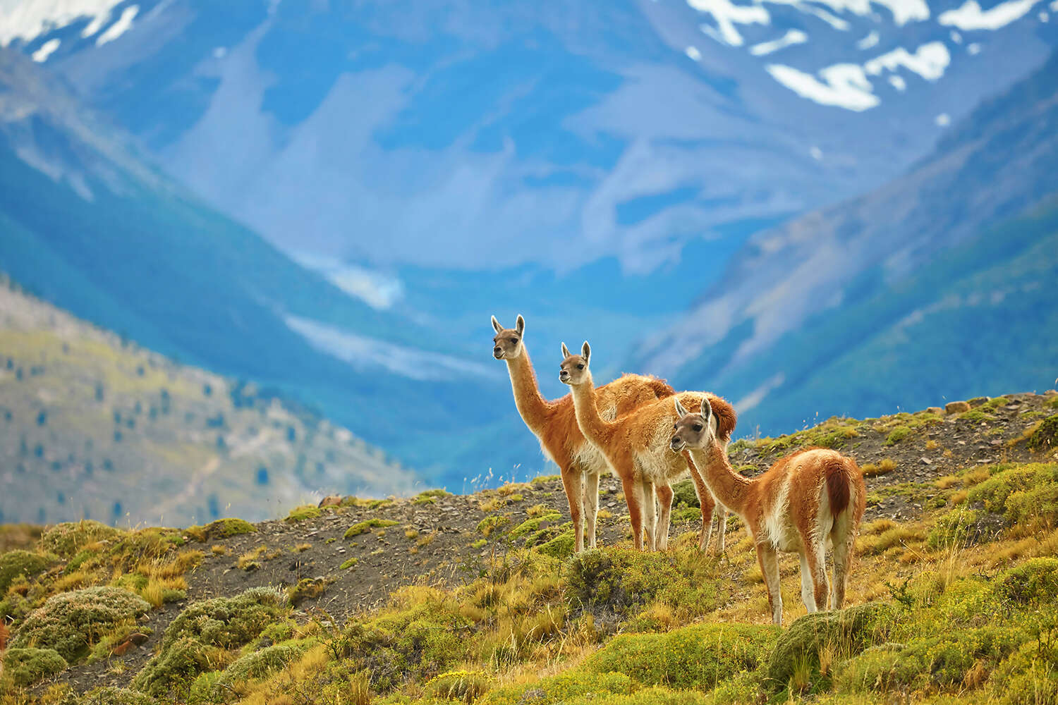 Torres del Paine National Park