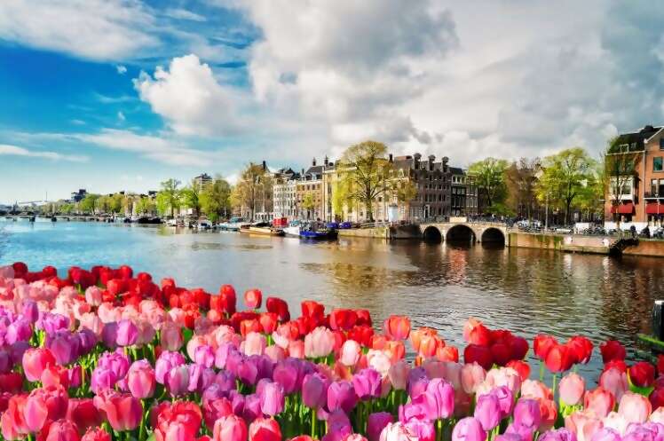 Receive Prepaid Gratuities on Select 2026 Avalon Waterways Europe River Cruises*