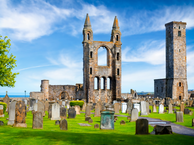 Travel Your Way with CIE Tours