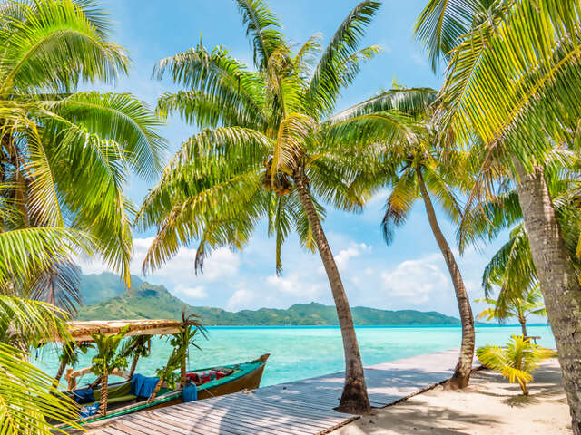 Discover the Future of Travel Planning: Our New Website is Live!