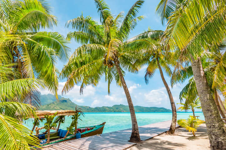 Discover the Future of Travel Planning: Our New Website is Live!