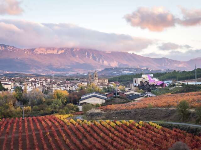 Rioja Wine & Gastronomic Experience