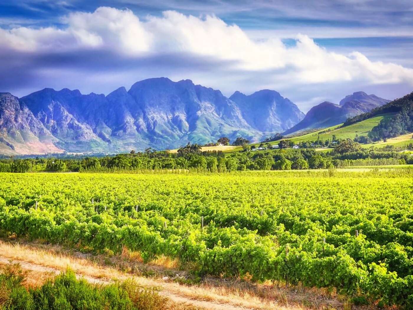 Luxury Southern Africa Safari