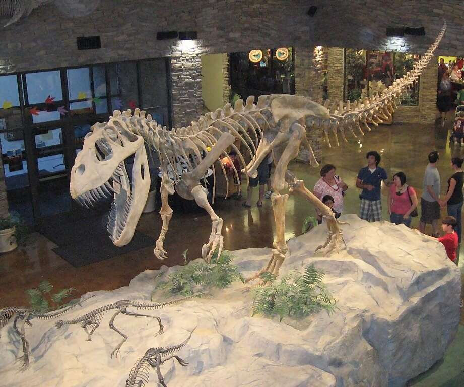 Journey through the Evolution of Dinosaurs at the Royal Tyrrell Museum