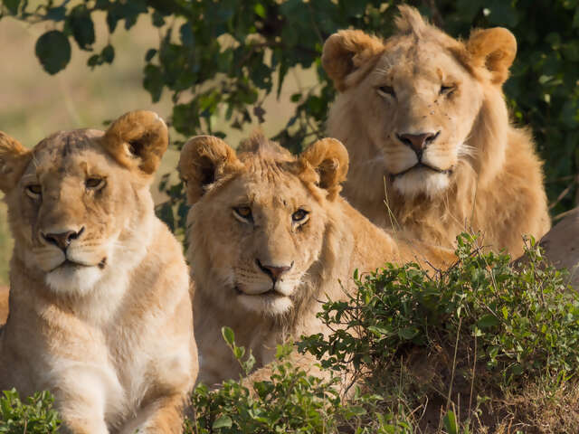 Experience some African Culture at Ol-donyo Sabuk National Park in Kenya
