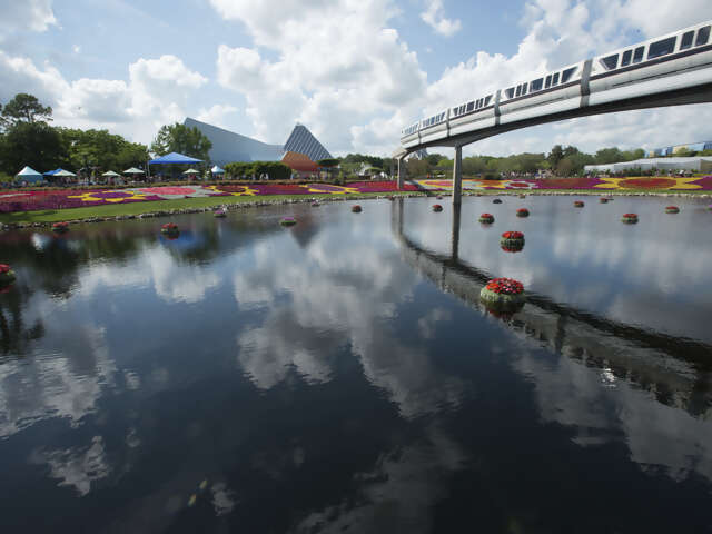 Walt Disney World