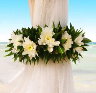 Thinking Destination Wedding?