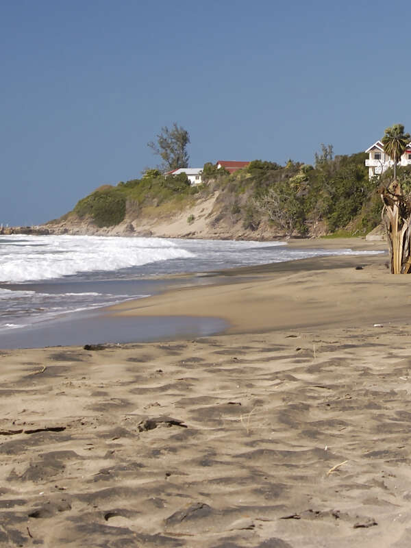 A 'Treasure' of Authentic, Sustainable Jamaica at Treasure Beach