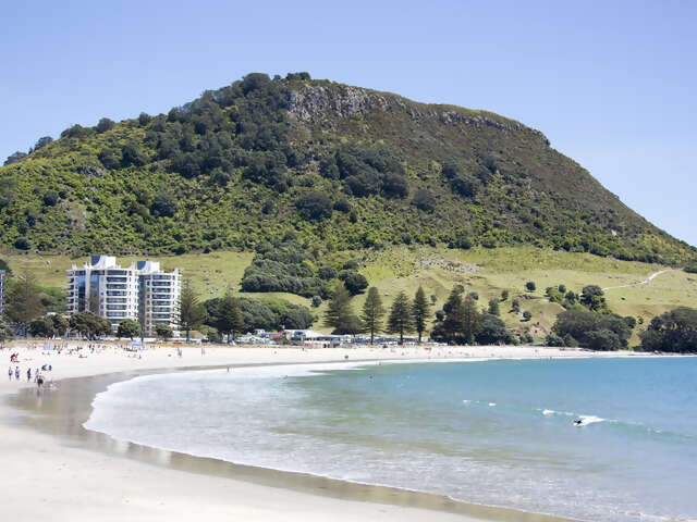 Tauranga