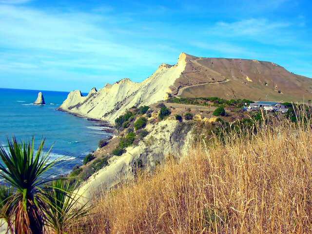 Napier