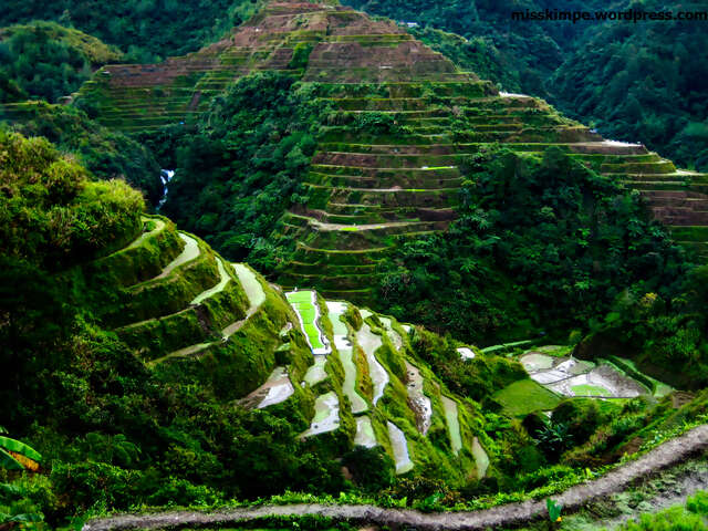 Ilocos Region