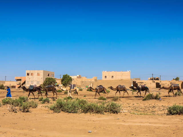 Erg Merzouga