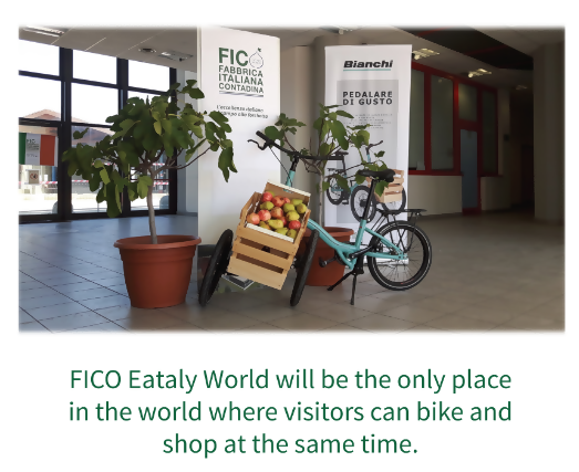 cycling market.png