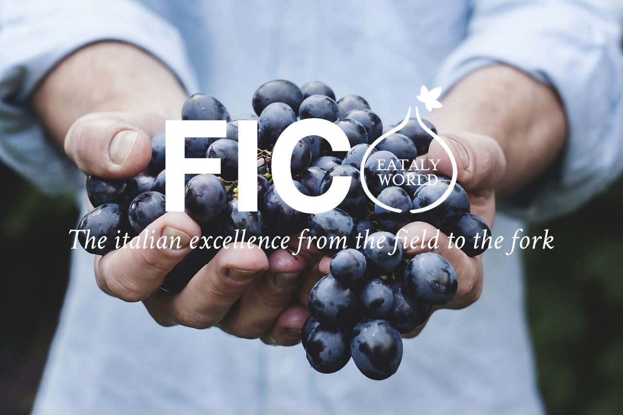 01. FICO-Eataly-World.jpg