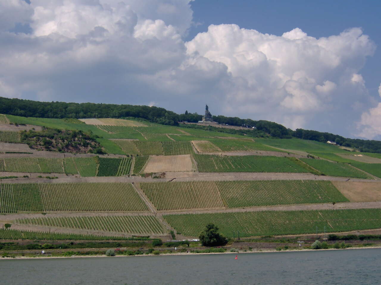 German Rhine_Vineyard.JPG