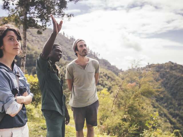 Nature and Heritage at Jamaica's First UNESCO World Heritage Site