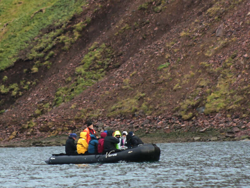 IMG_4783.INSERCHOF-THE-ARCTIC-HAREPS.jpg
