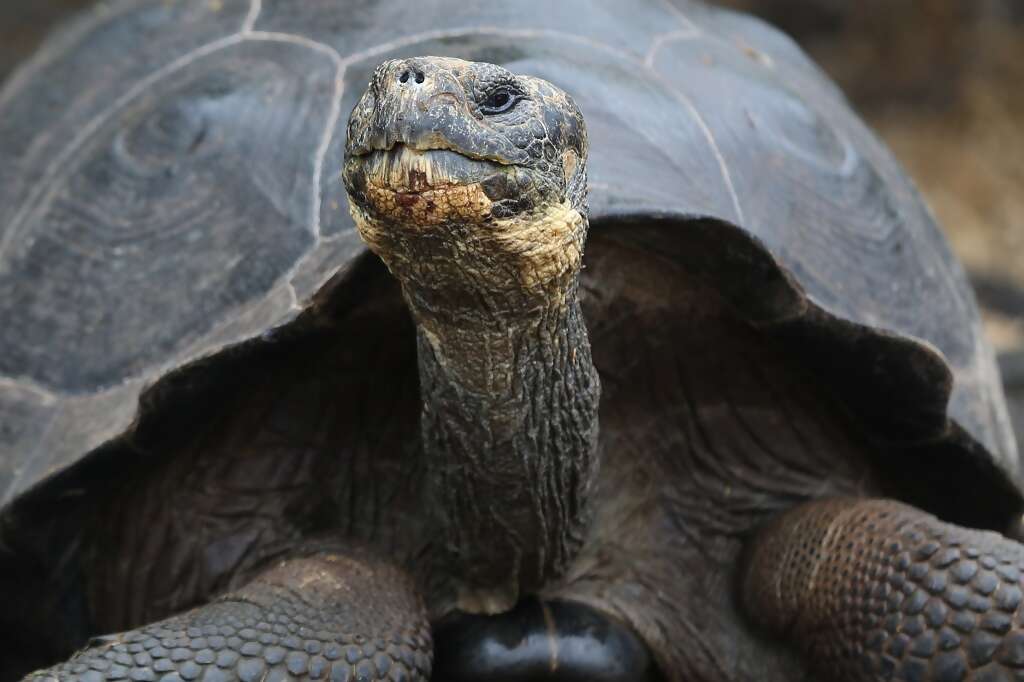 A Look at UNESCO World Heritage Sites - Nature's Creations