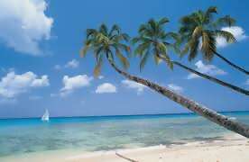 Thank you, thank you, thank you.