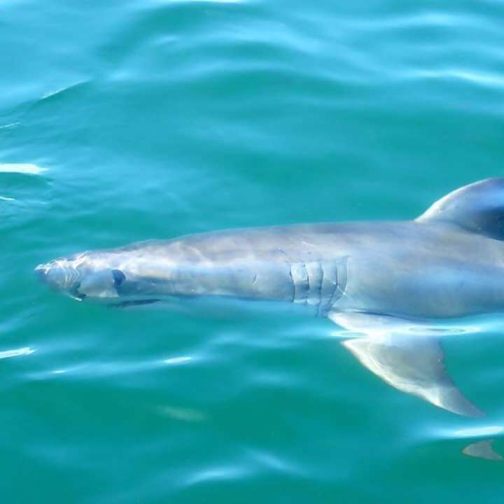 Incredible Trip to South Africa