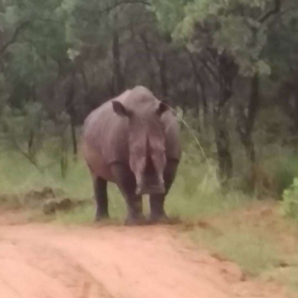 Incredible Trip to South Africa