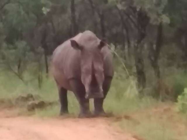 Incredible Trip to South Africa