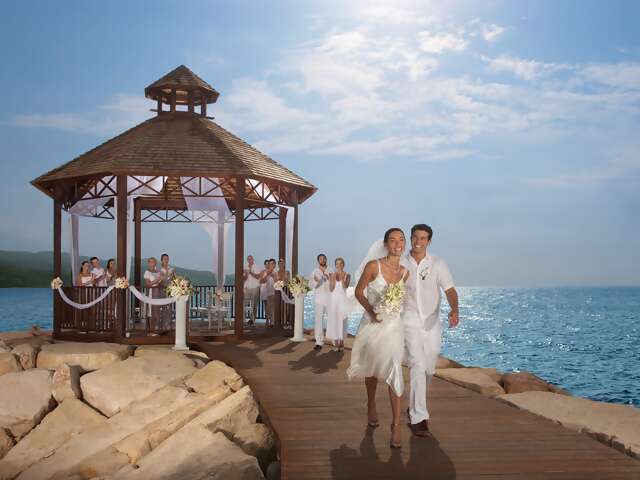 Secrets Wild Orchid