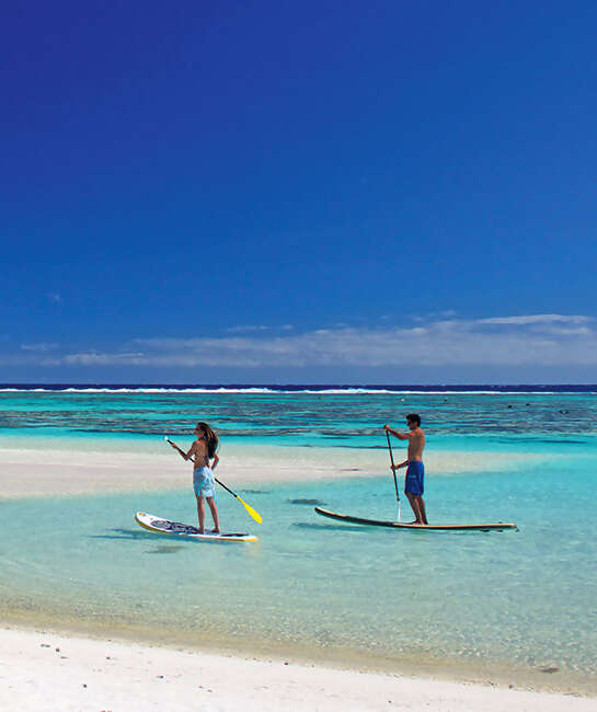 The Brando private Island