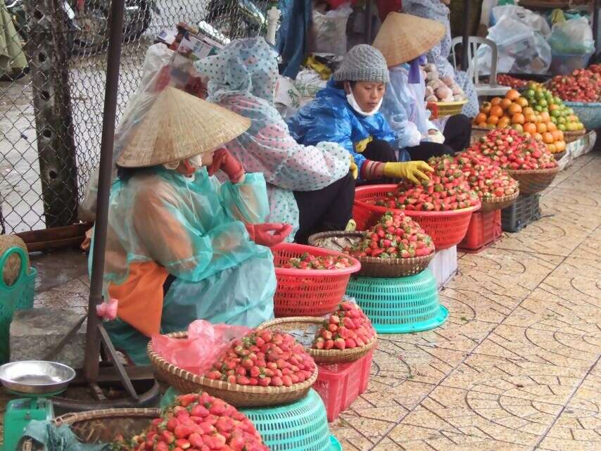 Vietnam with Vanora