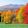 New England