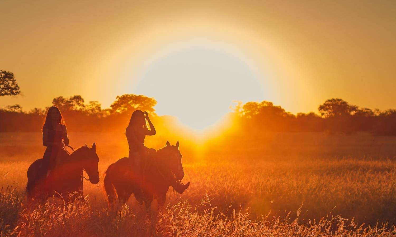 Where to go for an Authentic Texas Cowboy Experience