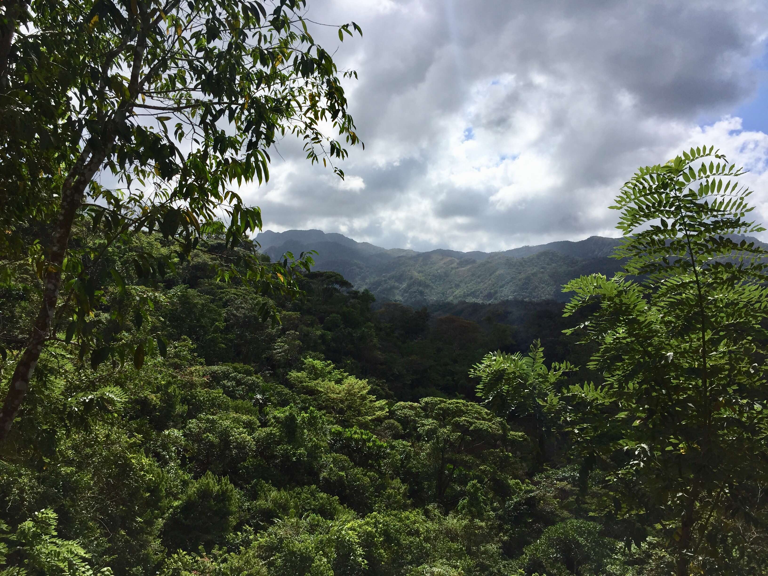 Visit Valle de Anton In Panama