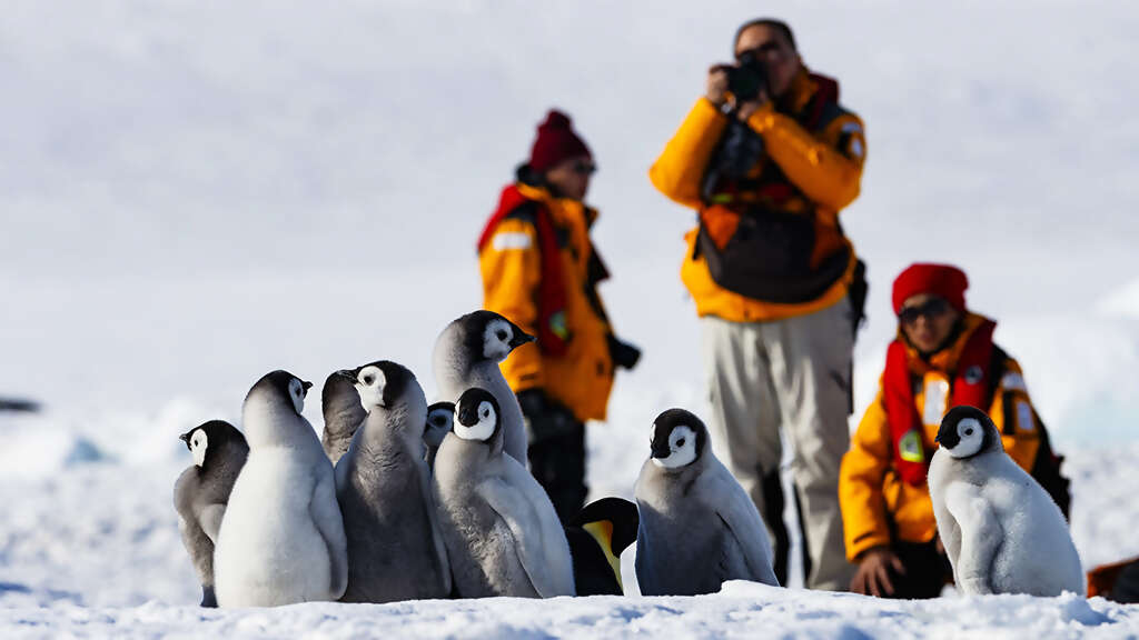 Quark Expeditions: A Leader in Polar Adventure