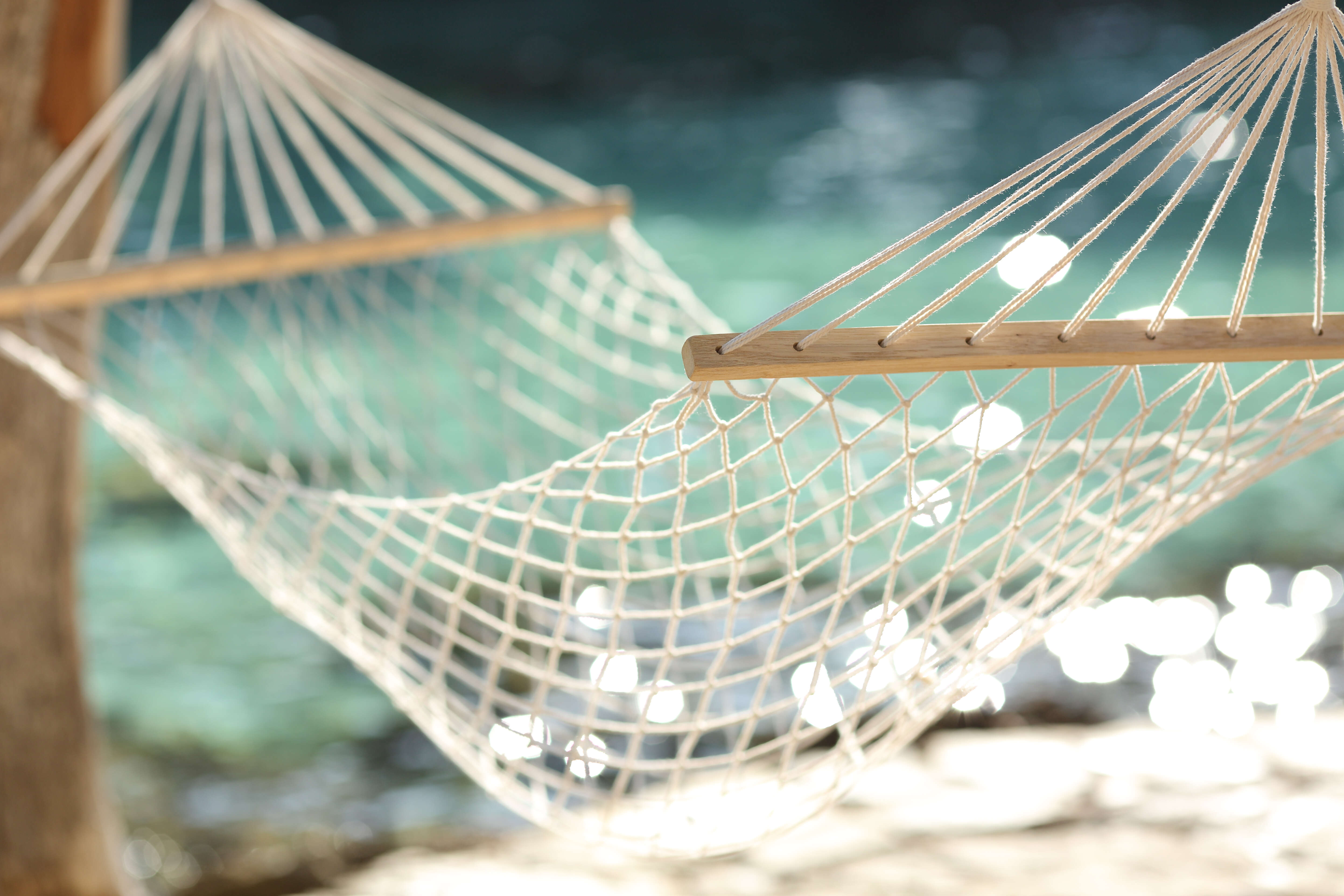 Banner 2 - Hammock