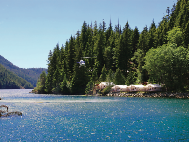 Clayoquot Wilderness Lodge: Canada’s Premiere Glamping Resort Gets an Aussie Makeover