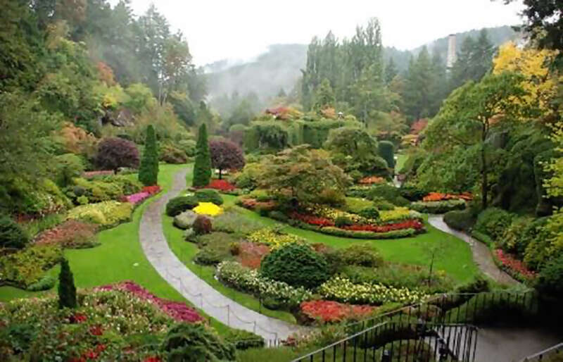 Gardens, High Tea And Victoria