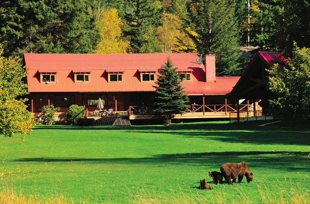 Tweedsmuir Park Lodge: A Luxurious Stay Awaits Adventure-Loving Guests on BC’s Central Coast