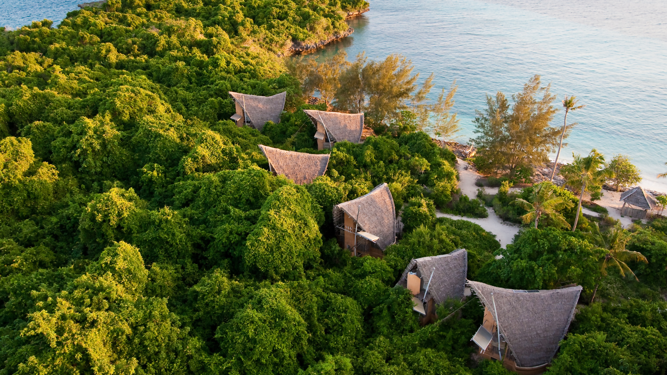 Eco-Tourism on a Budget: Your Guide to Affordable Green Travel