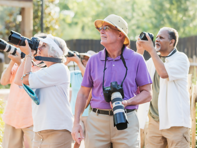 Discover the Best Senior-Friendly Escorted Tours for Comfortable Travel