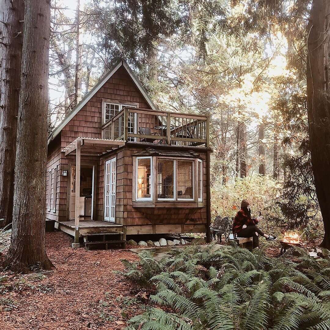 Start your day with coffee by the fire at Pat’s cozy cottage on the edge of the pristine Lily Point Marine Park