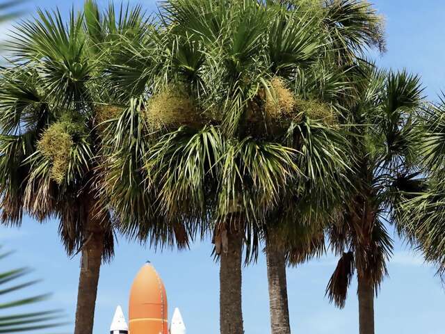 The middle leg of your tour of our 20 trending destinations for 2020 starts in Cape Canaveral, Florida (#12)