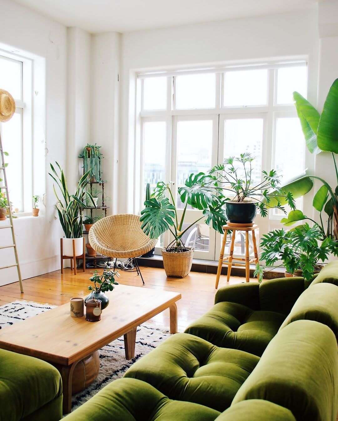 If you think these plants look happy in this light, wait until you see what it does for humans