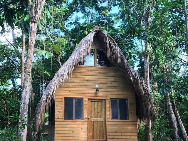 Superhost Pamela’s riverfront retreat lets you experience the jungle far from the crowds (unless you feel crowded by howler monke