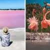 The 7 Most Beautiful Beaches in Mexico's Yucatan Peninsula