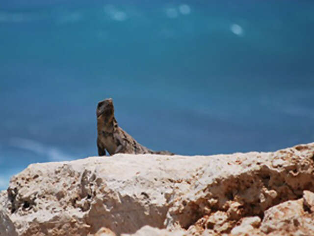 The Wonders of Mexico's Yucatan with Cancun