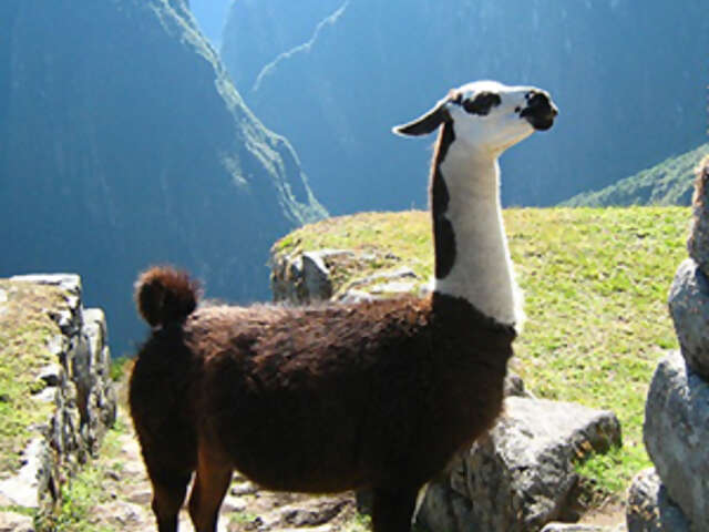Peru Escape