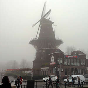 Sounds of Jazz on the Rhine & Rhône Revealed - Cruise Only