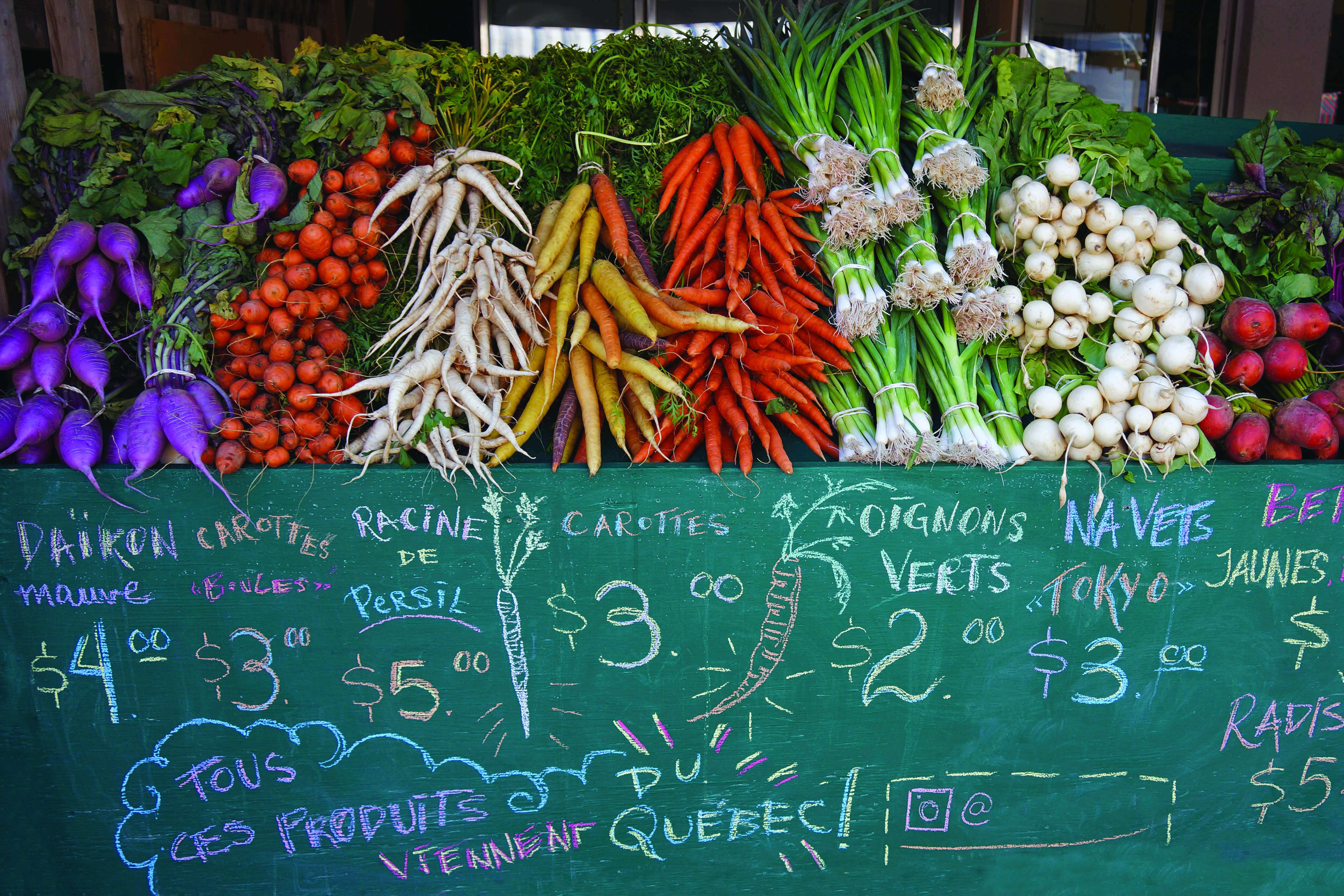 Spotlight on Montréal