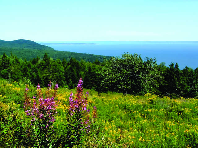 Charming French Canada featuring Montréal, Quebec City, Charlevoix and Montebello